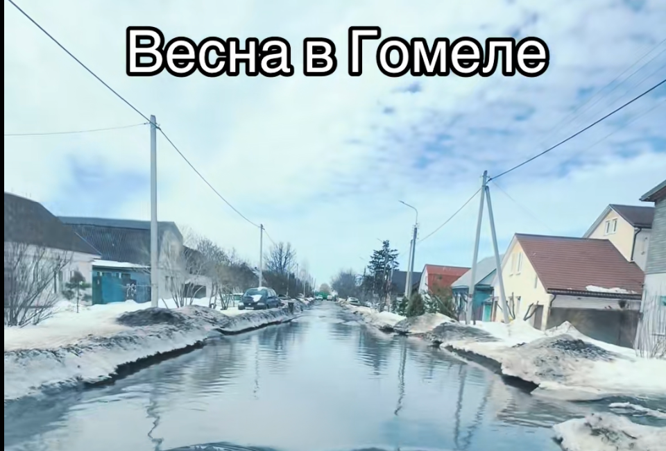 вясна гомель крытыка